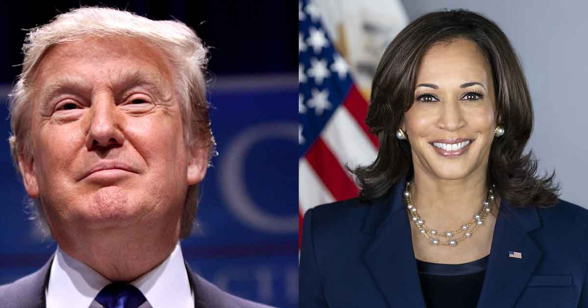 Trump Wins in 24 States and Leads in 'Swing States', Where Does Kamala Stand?