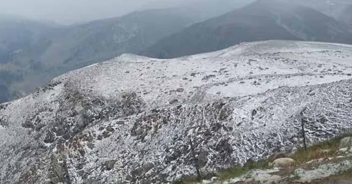 Kashmir Gulmarg snowfall