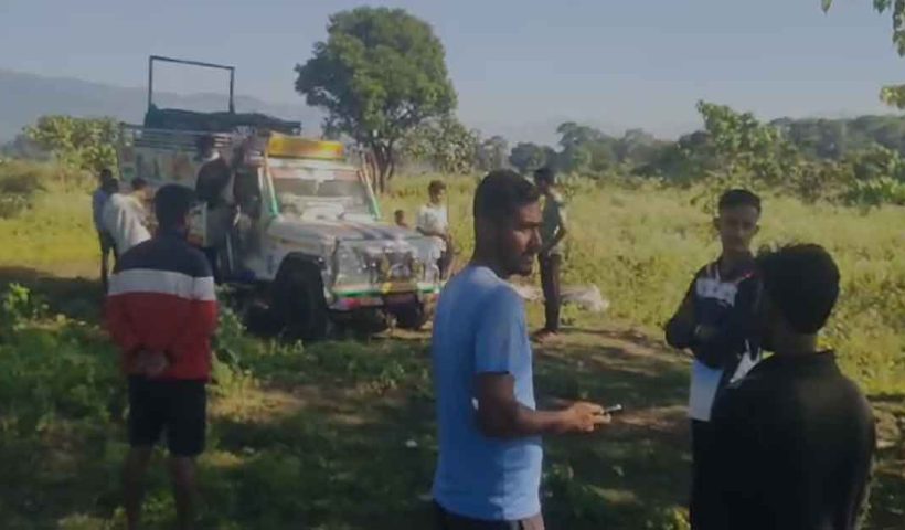 Leopard caught at cage in damdim block near Malbazar in dooars