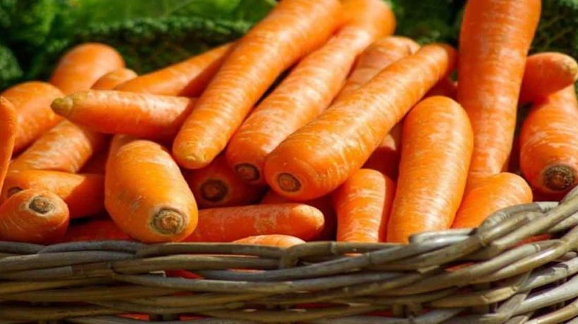 Ukrainian Farmers Reduce Carrot Prices