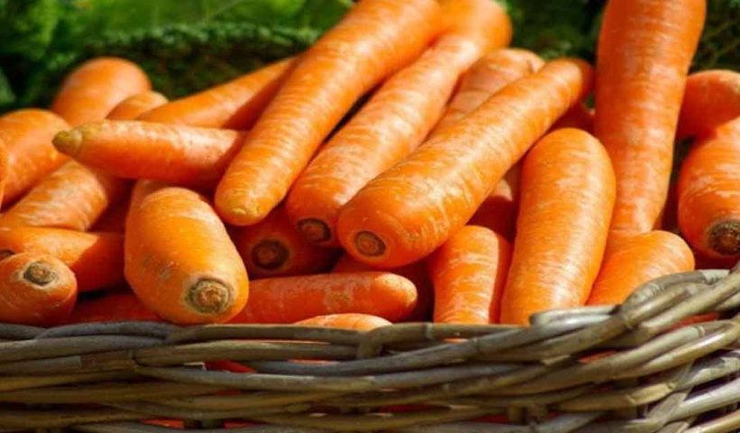 Ukrainian Farmers Reduce Carrot Prices