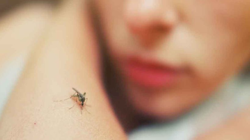 Dengue affected number incresed in west bengal health department reports