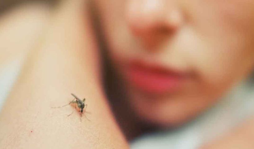 Dengue affected number incresed in west bengal health department reports