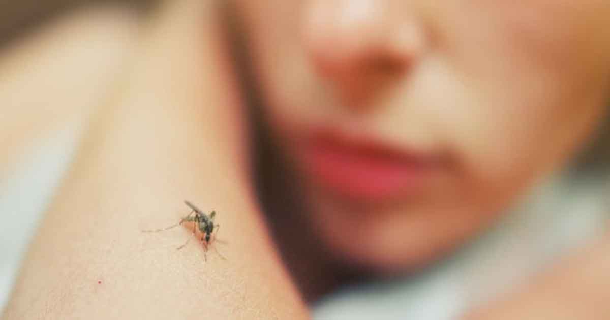 Dengue affected number incresed in west bengal health department reports