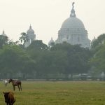 সংক্রান্তি থেকেই বাড়বে তাপমাত্রা, আপাতত শীত নেই বাংলায়