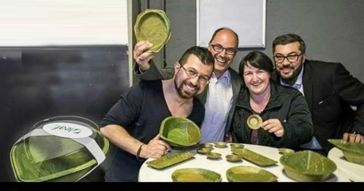 India's Ancient Eco-Friendly Plates