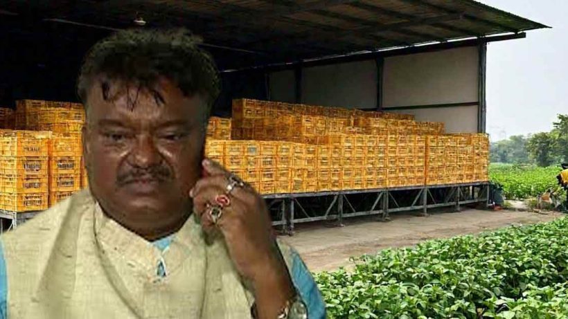 Potato merchant strike Nabanna