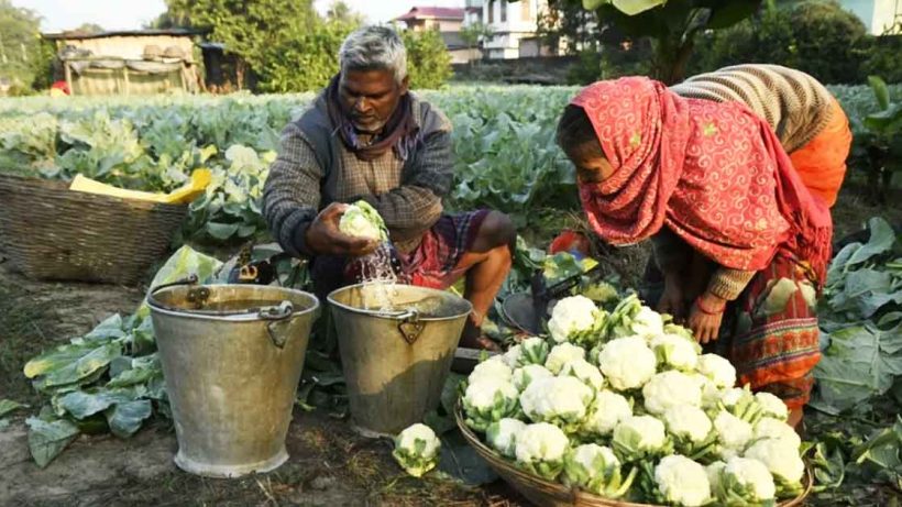 Shocking Truth About Farmers’ Income