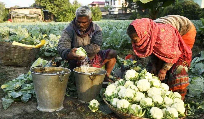 Shocking Truth About Farmers’ Income