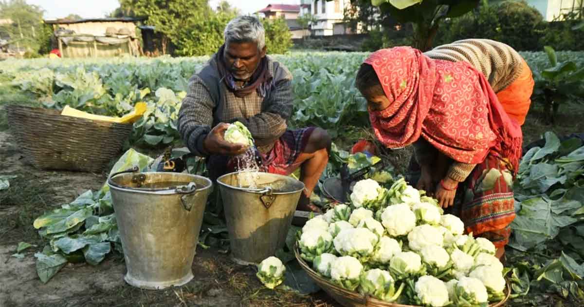 Shocking Truth About Farmers’ Income