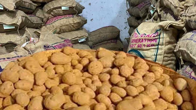 Potato Prices Remain High Across Calcutta Despite Drop in Prices of Other Vegetables