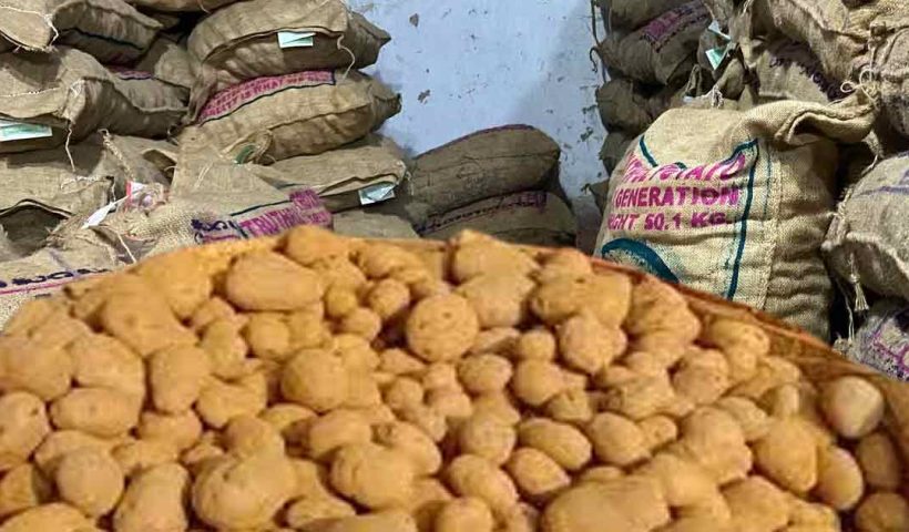 Potato Prices Remain High Across Calcutta Despite Drop in Prices of Other Vegetables