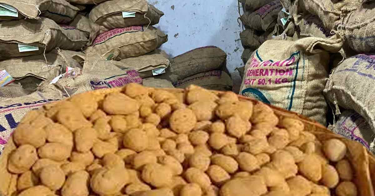 Potato Prices Remain High Across Calcutta Despite Drop in Prices of Other Vegetables