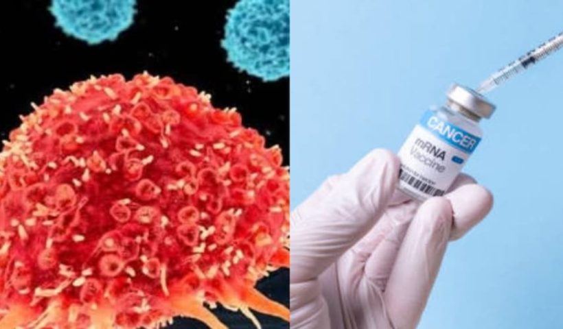 Russia develops cancer vaccine, will distribute it for free from 2025