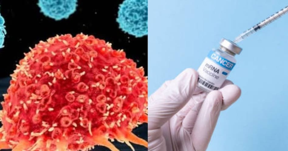 Russia develops cancer vaccine, will distribute it for free from 2025