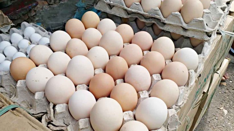 Egg Prices Surge Again in West Bengal Amid Winter; Here's Why