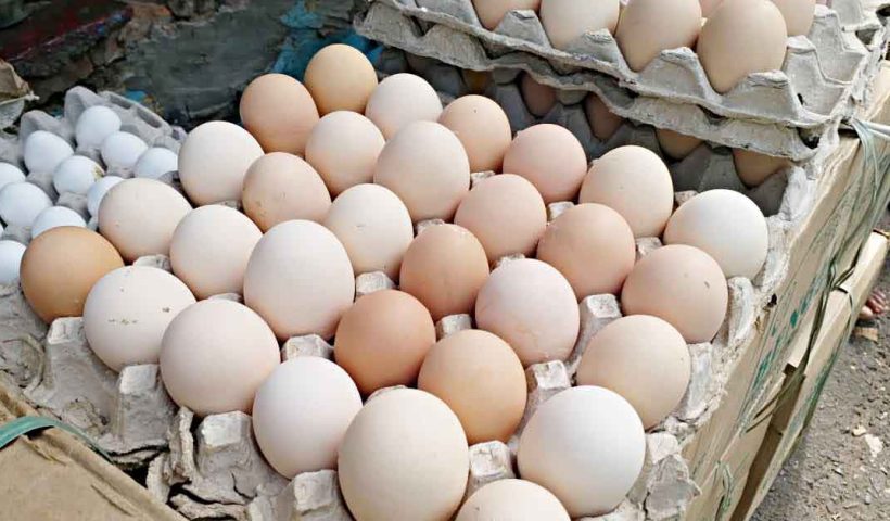 Egg Prices Surge Again in West Bengal Amid Winter; Here's Why