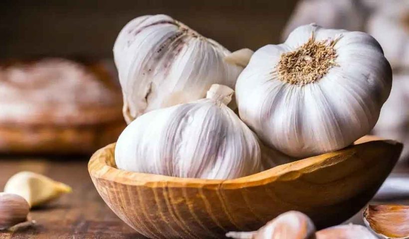 Howrah Police Seizes Banned Chinese Garlic in Major Bust