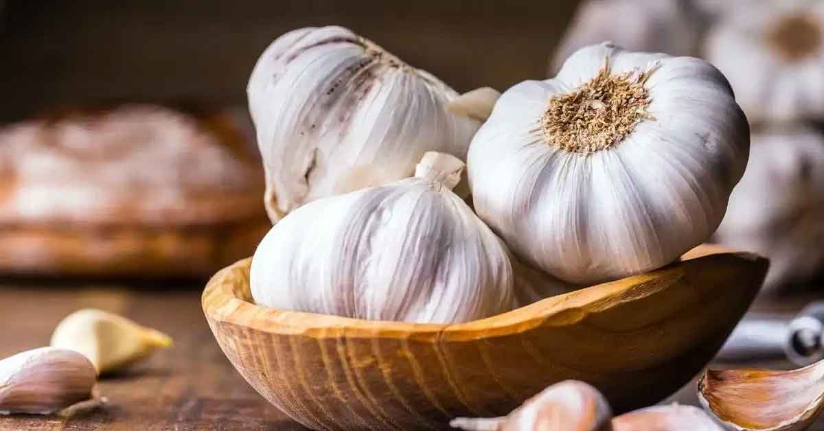 Howrah Police Seizes Banned Chinese Garlic in Major Bust