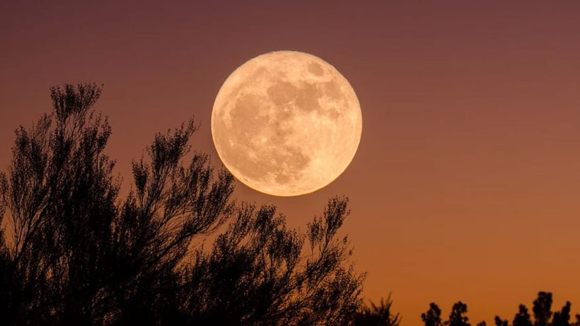 Moon