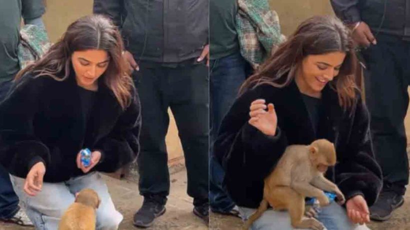 Wamiqa Gabbi's adorable video of feeding a biscuit to a monkey has gone viral. Watch the heartwarming moment as the actress shares a sweet interaction with the little monkey.