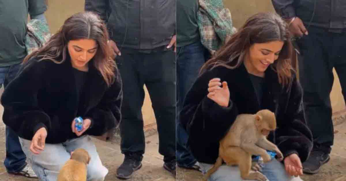 Wamiqa Gabbi's adorable video of feeding a biscuit to a monkey has gone viral. Watch the heartwarming moment as the actress shares a sweet interaction with the little monkey.