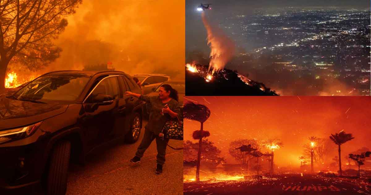 Wildfire sweeps through Hollywood Hills