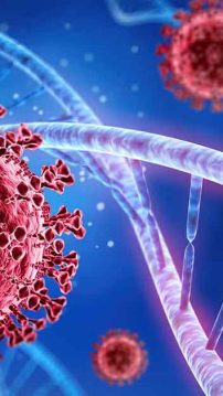 JP Nadda Reaches Out to Mamata Banerjee Amid Nipah Virus Detection in West Bengal