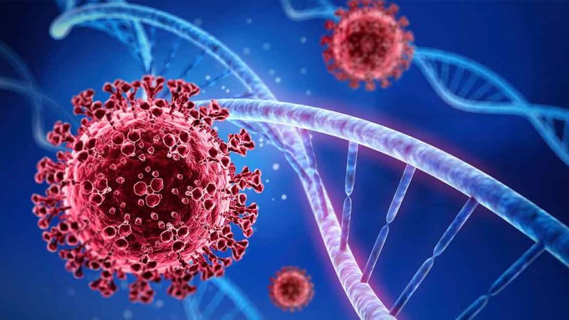 JP Nadda Reaches Out to Mamata Banerjee Amid Nipah Virus Detection in West Bengal