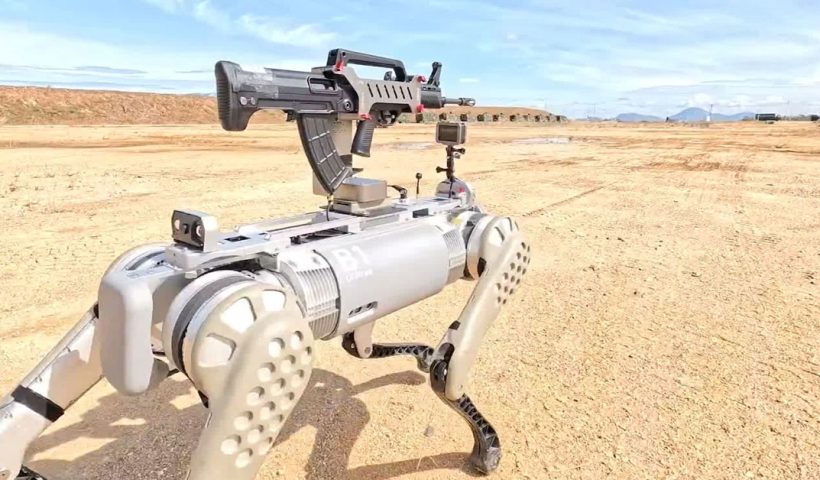 China Assault Rifle Robot Dog