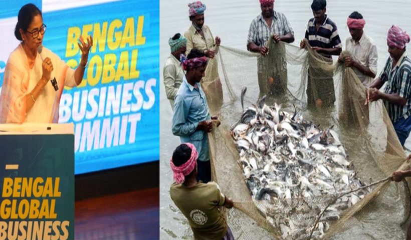 Huge Investment in Fish Farming in Bengal, 126 Crore Rupees Announced at Trade Summit