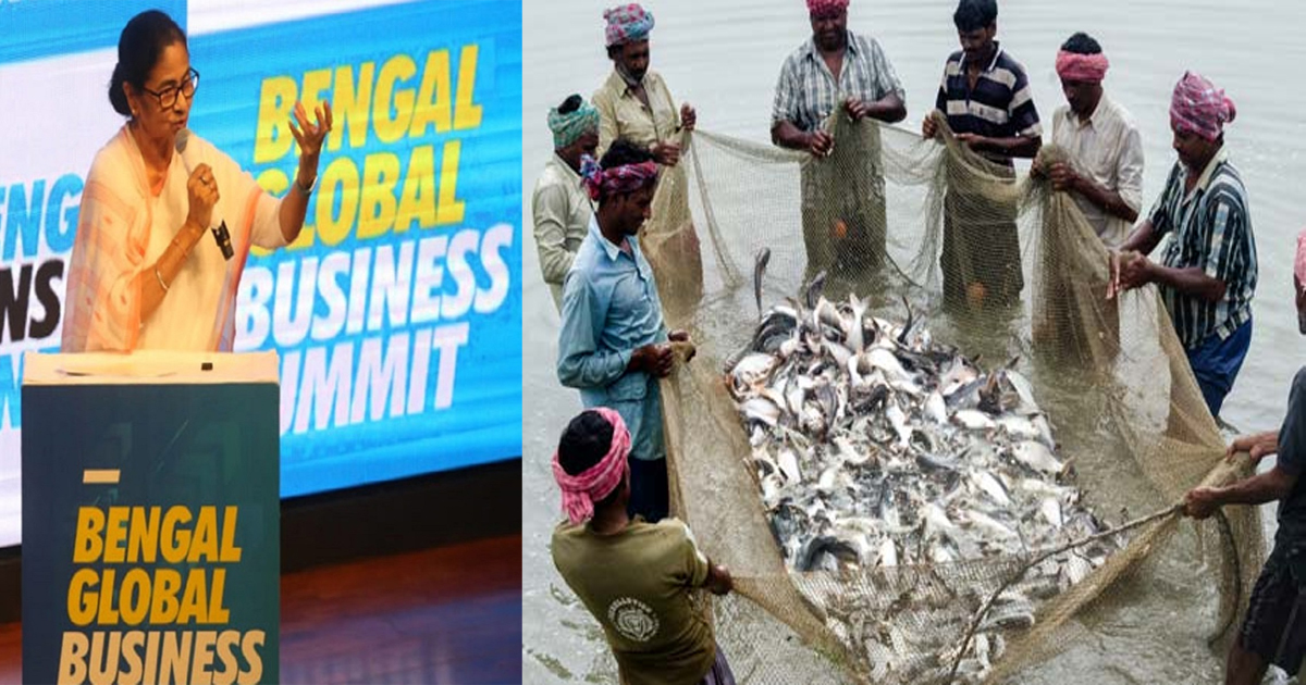 Huge Investment in Fish Farming in Bengal, 126 Crore Rupees Announced at Trade Summit