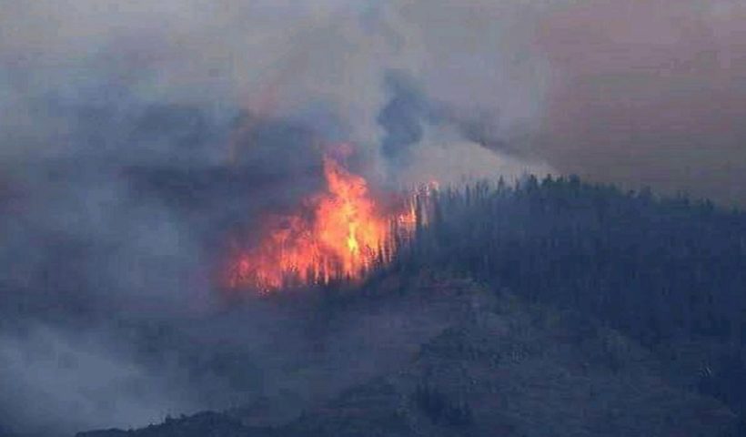 jammu-kashmir-udhampur-forest-fire-damages-wide-area