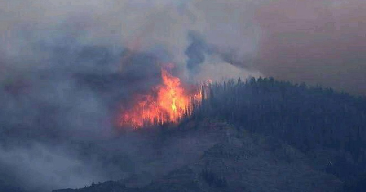 jammu-kashmir-udhampur-forest-fire-damages-wide-area