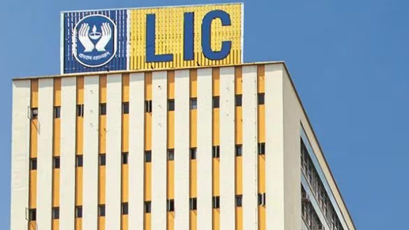 lic-q3-results-net-premium-income-down-9-pat-jumps-17-to-rs-11056-crore