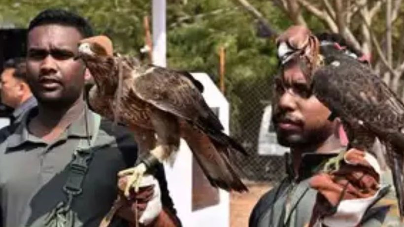 Pushpa joins India's only avian squad