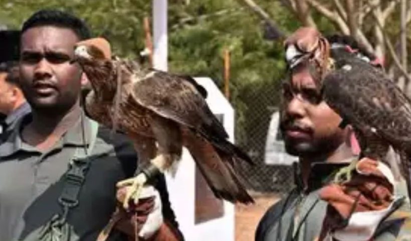 Pushpa joins India's only avian squad