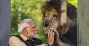 pm-narendra-modi-vantara-visit-ranveer-singh-comments-lion-photo