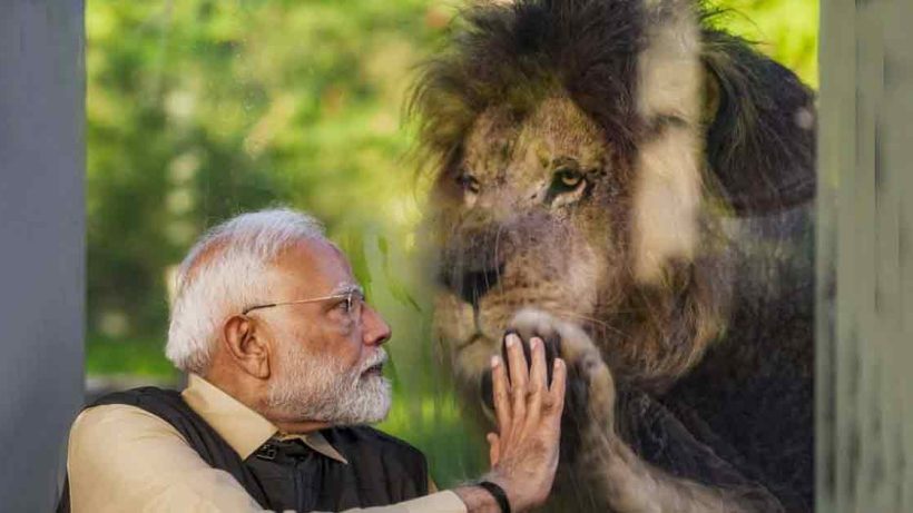 pm-narendra-modi-vantara-visit-ranveer-singh-comments-lion-photo