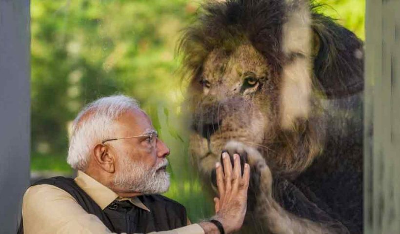 pm-narendra-modi-vantara-visit-ranveer-singh-comments-lion-photo