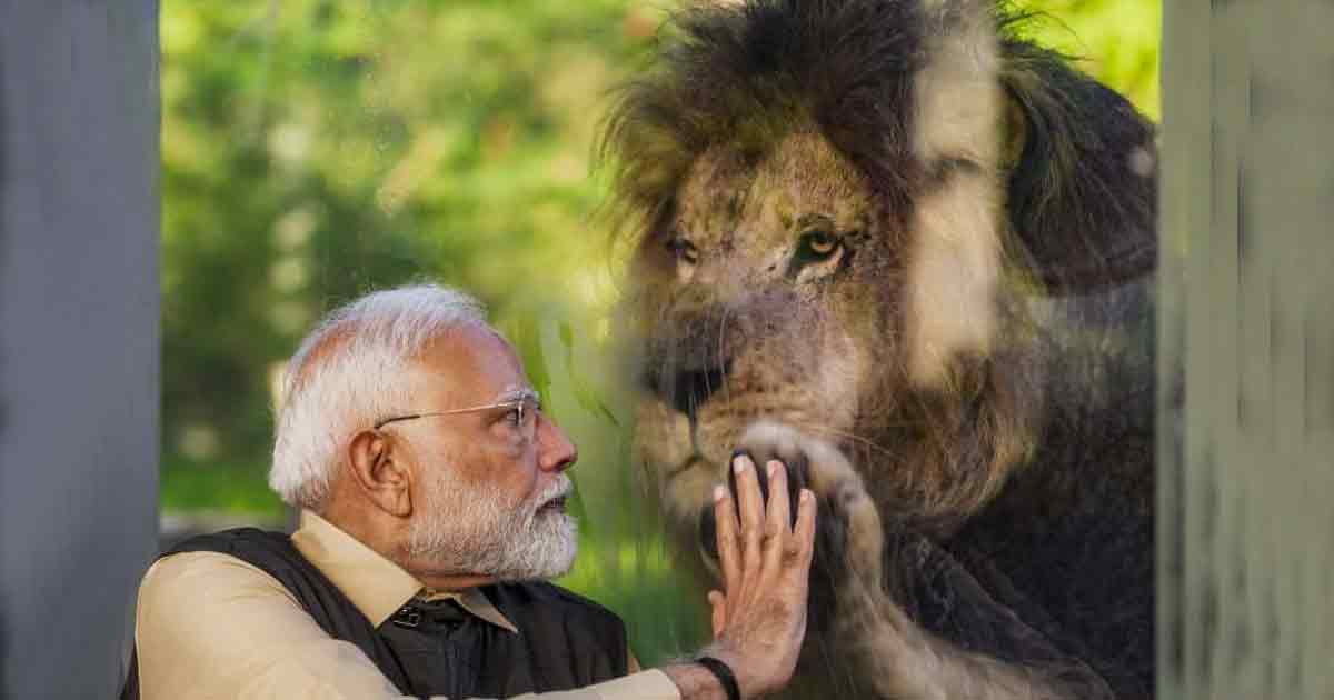 pm-narendra-modi-vantara-visit-ranveer-singh-comments-lion-photo