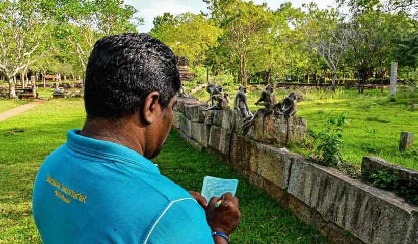 Sri Lanka animal census