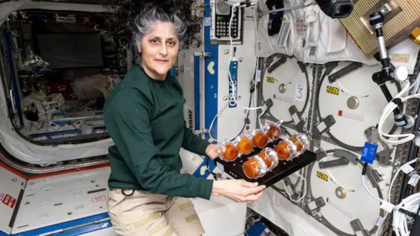 Sunita Williams