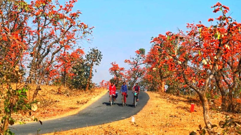 Bankura Painted in the Colors of Palash, Explore Nature's Beauty