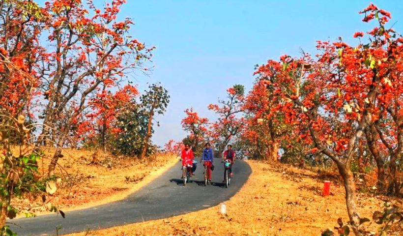 Bankura Painted in the Colors of Palash, Explore Nature's Beauty