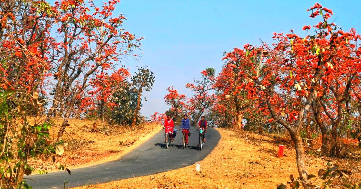 Bankura Painted in the Colors of Palash, Explore Nature's Beauty