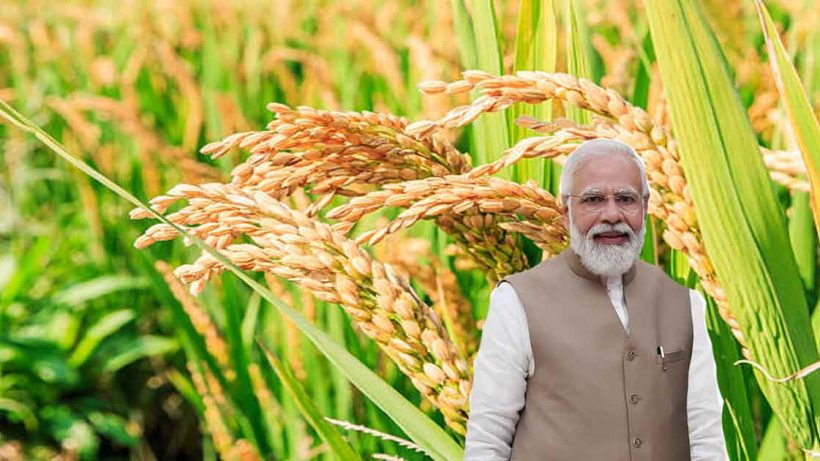 sasryee mulya ar from modi