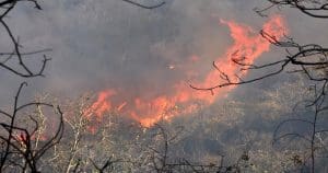 shushunia-hill-devastating-fire