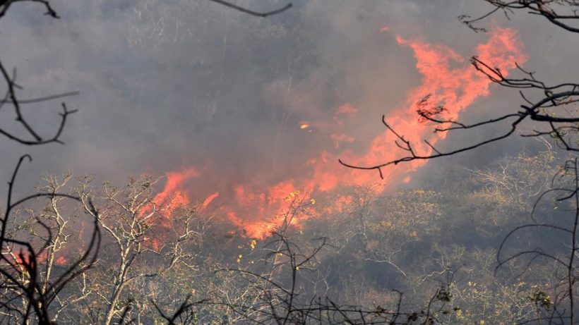 shushunia-hill-devastating-fire