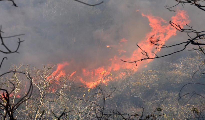 shushunia-hill-devastating-fire